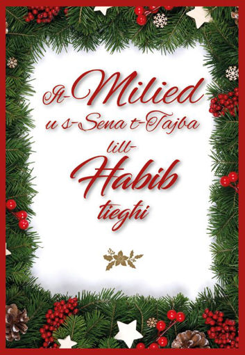 Picture of IL-MILIED IT-TAJJEB HABIB TIEGHI KARTOLINA